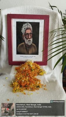 Gallery image 263